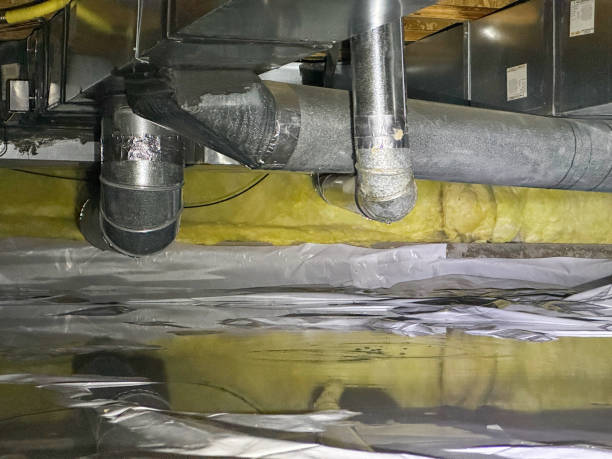 Best Residential water damage restoration  in Oconto Falls, WI